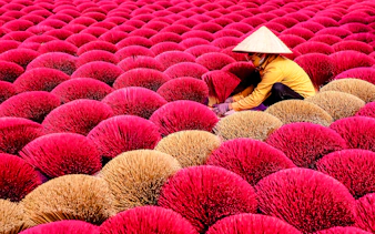 Worker arranging incense sticks in Hanoi's Incense Village.