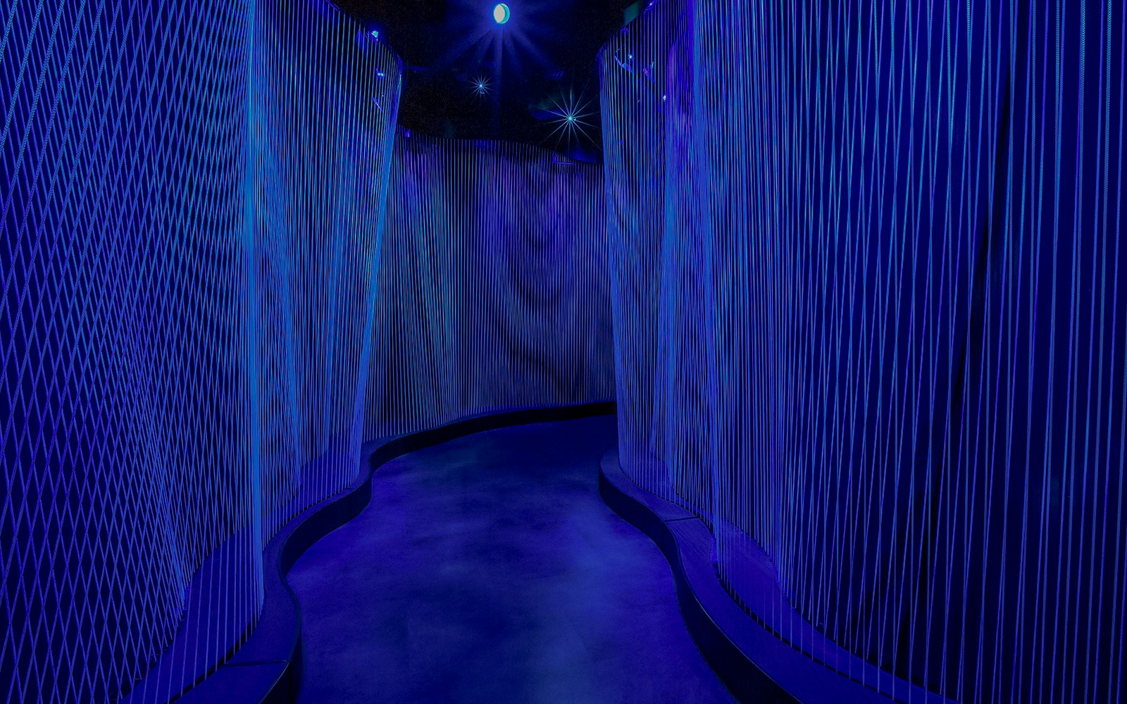 Interactive light installation at Museum of the Bible, Washington DC.