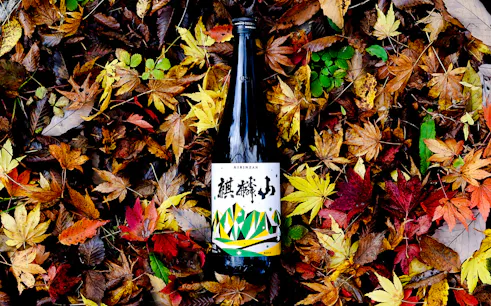 niigata kirinzan bira fabrikası turu ve sake tadımı-1