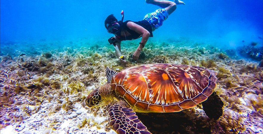 Perdana Quay Eco Marine Park Tickets