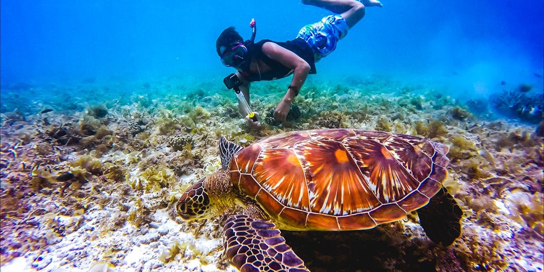Perdana Quay Eco Marine Park Tickets
