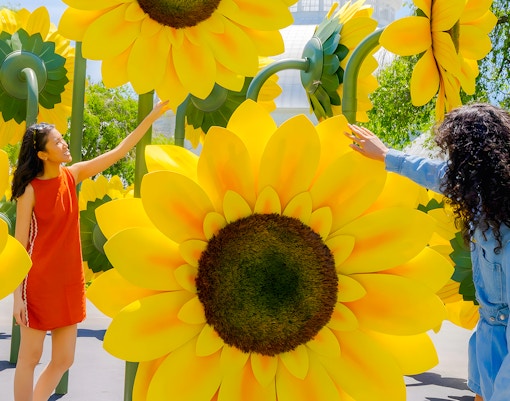 Visitors interacting with large sunflower sculptures at Van Gogh’s Flowers exhibit, NYBG.