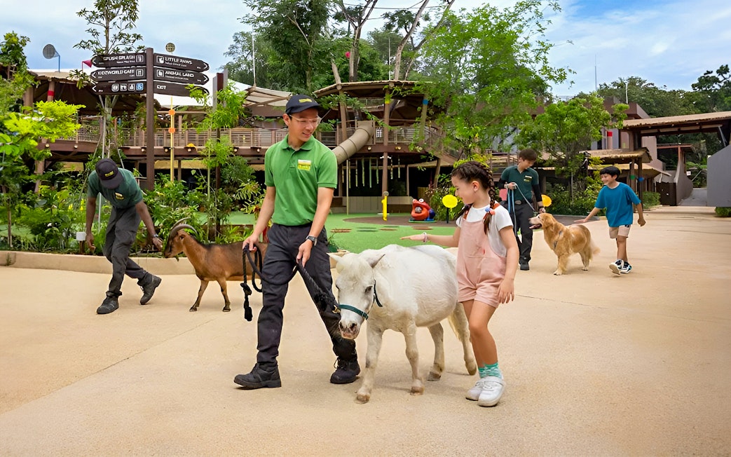 Guided animal interaction at Singapore Zoo with children and staff during VIP Buggy Tour.