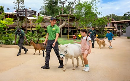 Guided animal interaction at Singapore Zoo with children and staff during VIP Buggy Tour.
