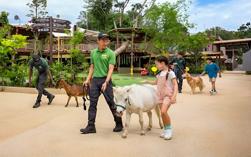 Guided animal interaction at Singapore Zoo with children and staff during VIP Buggy Tour.