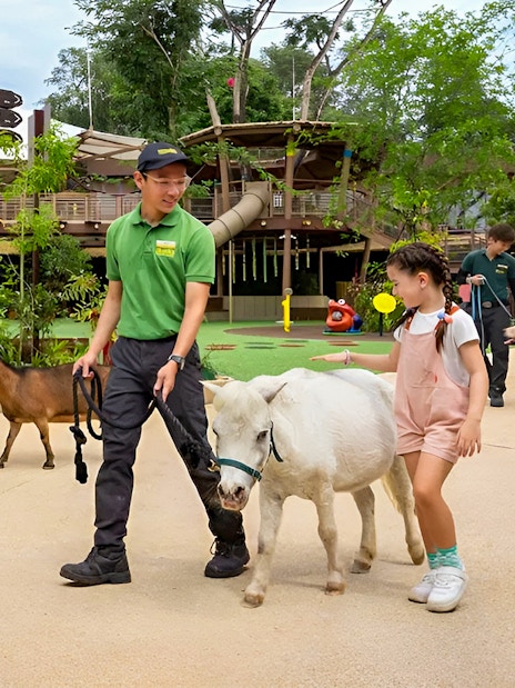 Guided animal interaction at Singapore Zoo with children and staff during VIP Buggy Tour.