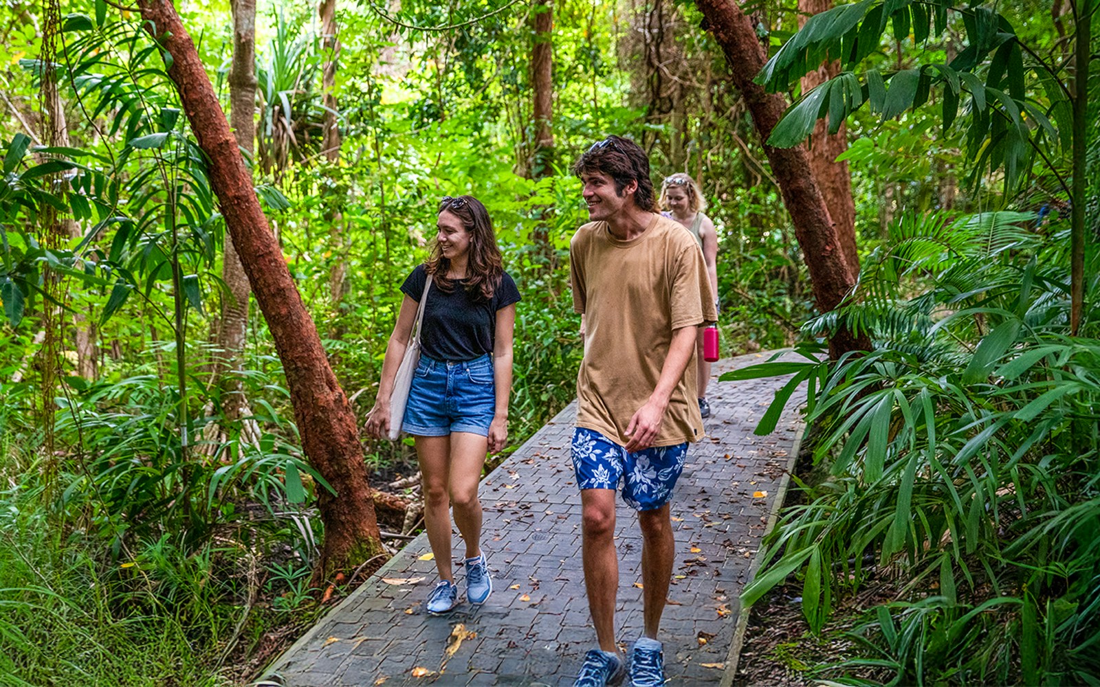 Tourists walking on a forest path during a self-guided tour on Fitzroy Island.