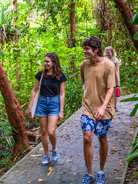Tourists walking on a forest path during a self-guided tour on Fitzroy Island.