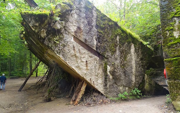 Wolf’s Lair bunker ruins surrounded by forest, part of Hitler’s headquarters tour.
