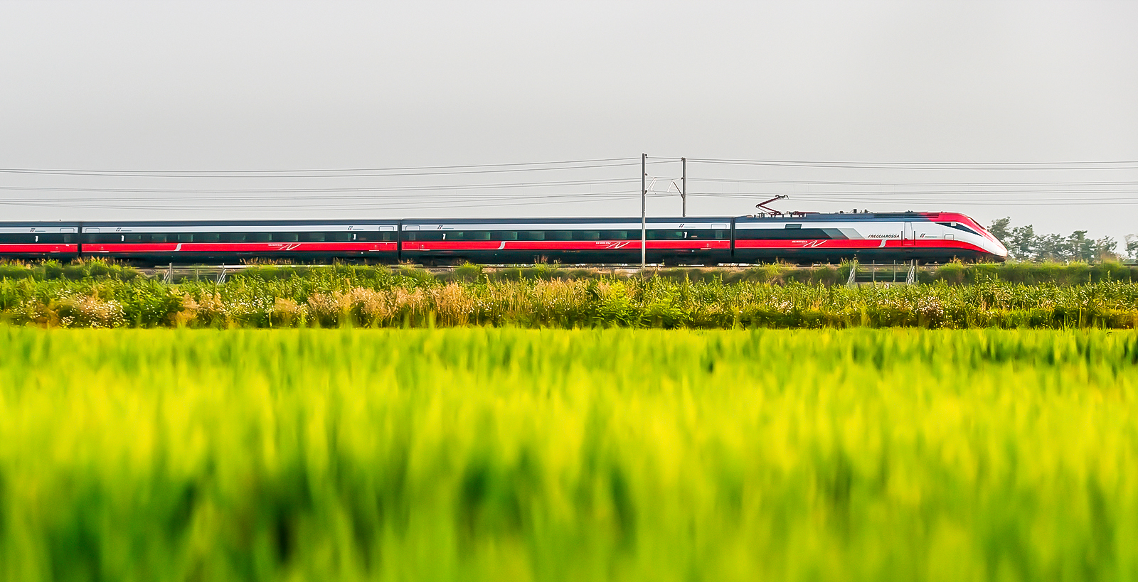 Convenient Transfer Option