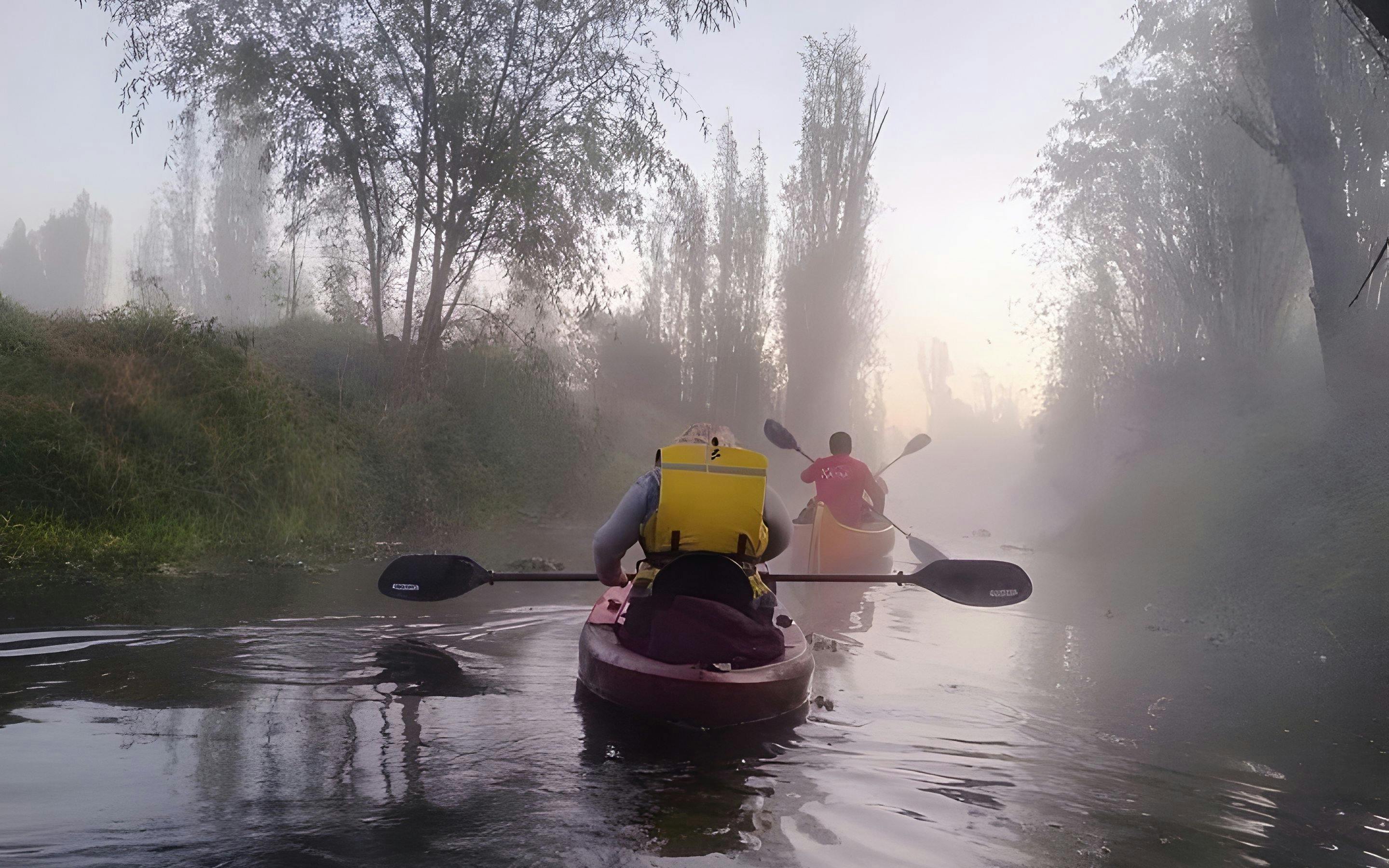 Kayaking at sunrise through misty canals in Xochimilco.