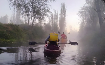 Kayaking at sunrise through misty canals in Xochimilco.