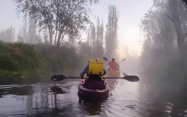 Kayaking at sunrise through misty canals in Xochimilco.