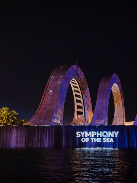 Exterior view of Symphony of the Sea with illuminated arches at night.