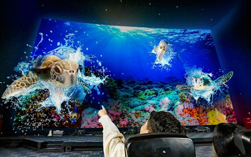 4D theater projection of sea turtles and fish in an underwater scene.