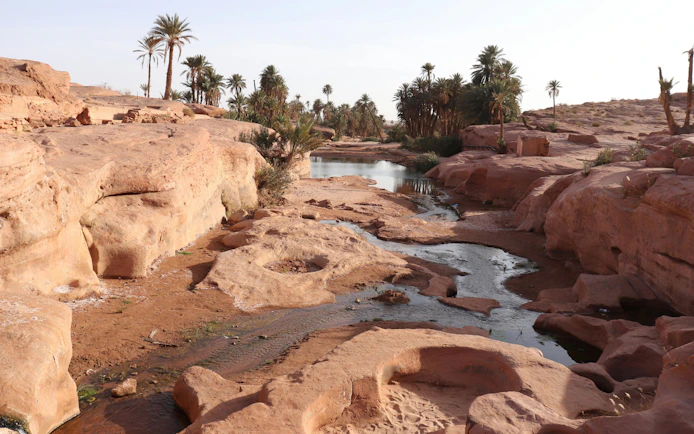 Oued de Tiout in Algeria with palm trees and rocky landscape.