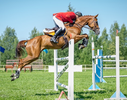 Royal Windsor Horse Show