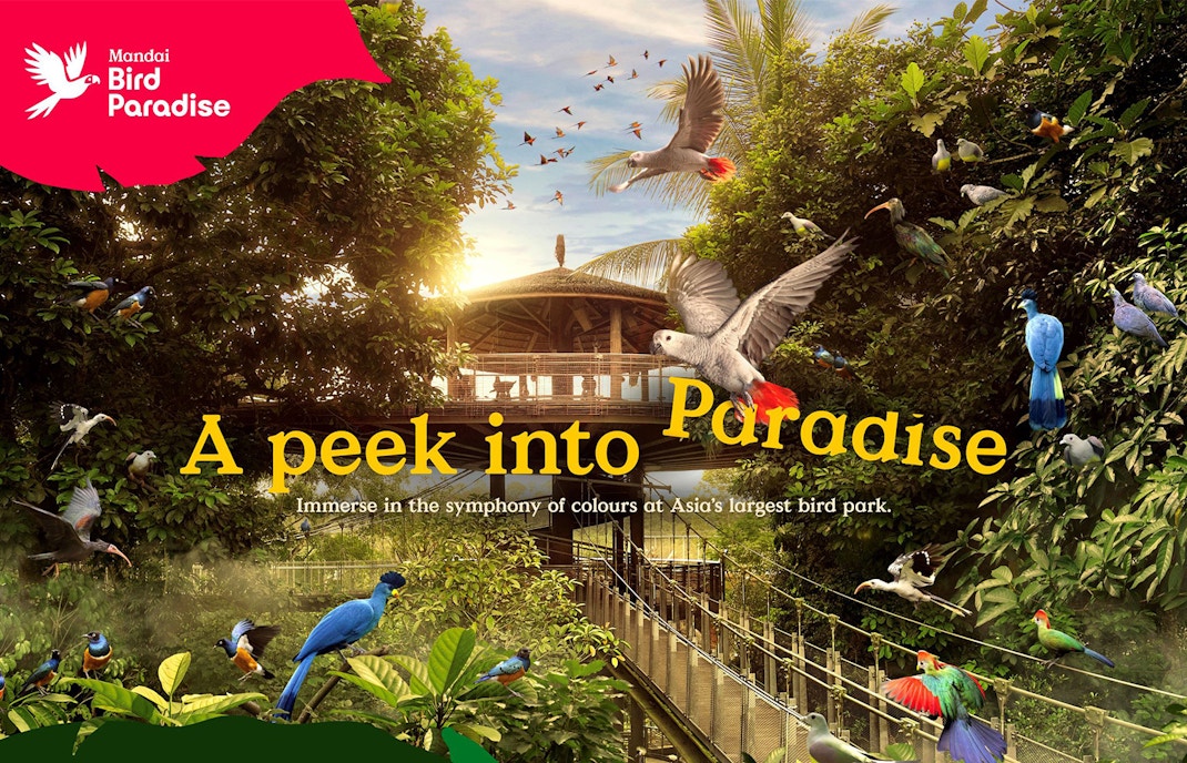 Mandai Wildlife Reserve - Bird Paradise