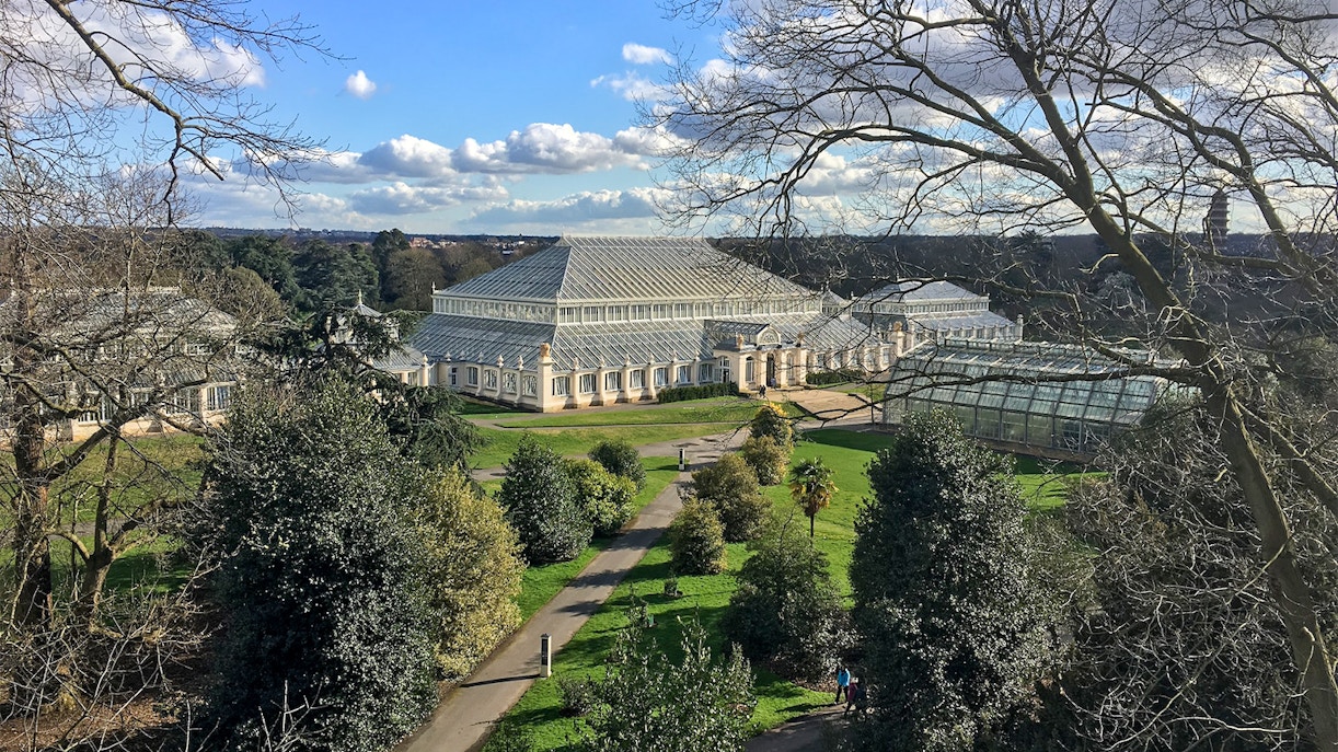 Kew Gardens