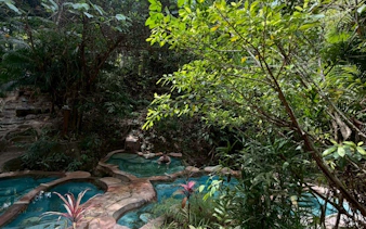 Hot spring spa surrounded by lush greenery in Krabi jungle tour.