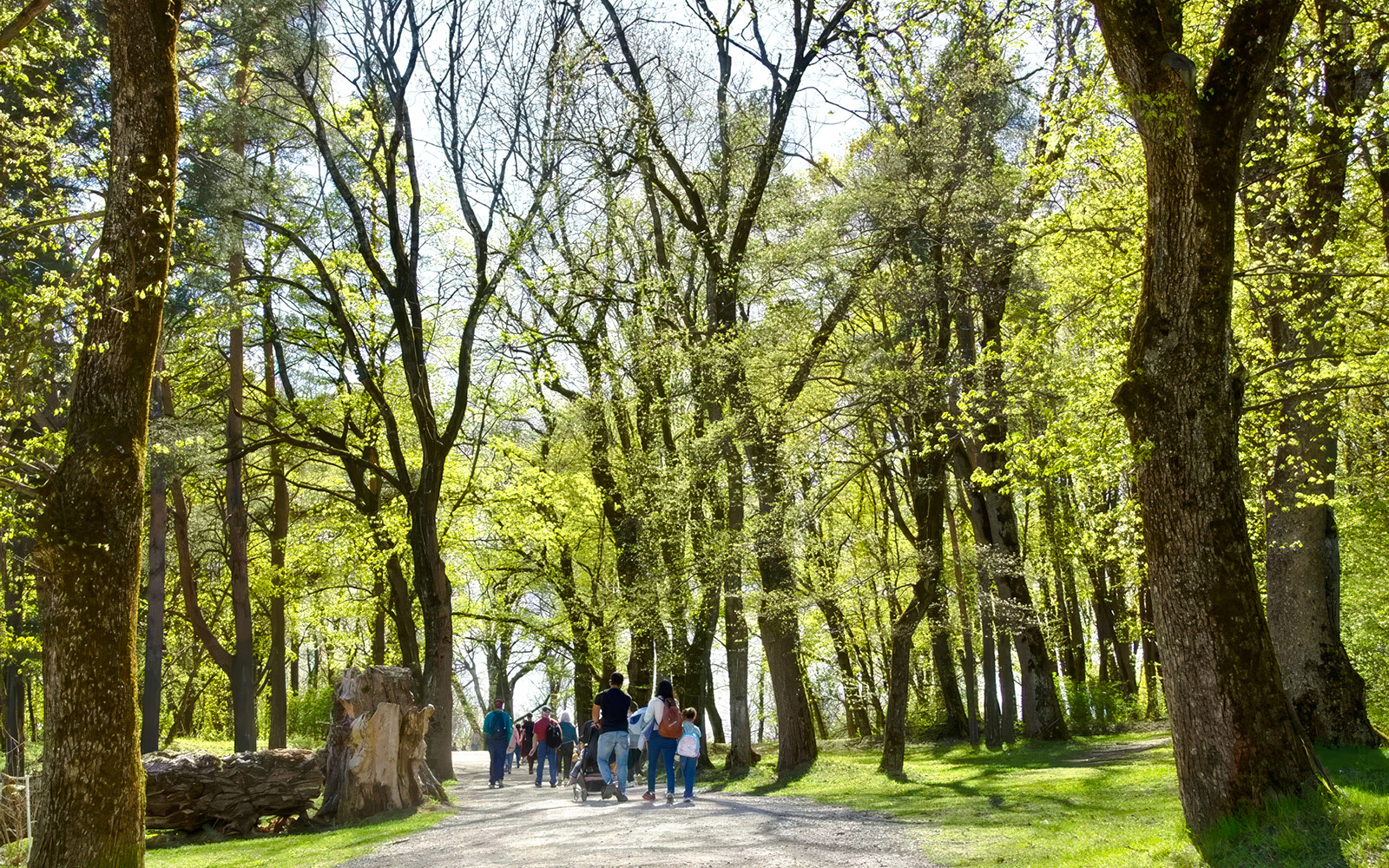 Group walking through forested path on Oslofjord island tour.