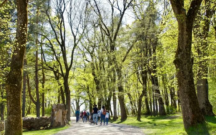 Group walking through forested path on Oslofjord island tour.