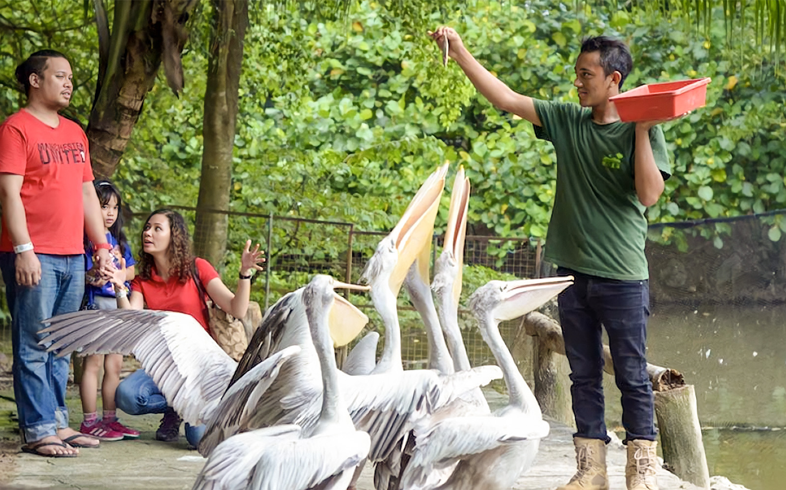 Ingressos para o Farm in the City Malásia: por que visitar o Farm in the City?