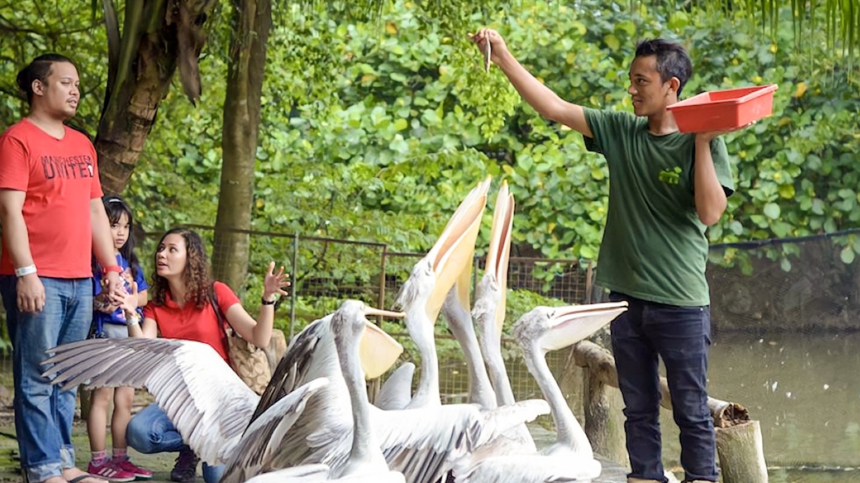 Farm in the City Malaysia tickets - Why Visit the Farm in the City?