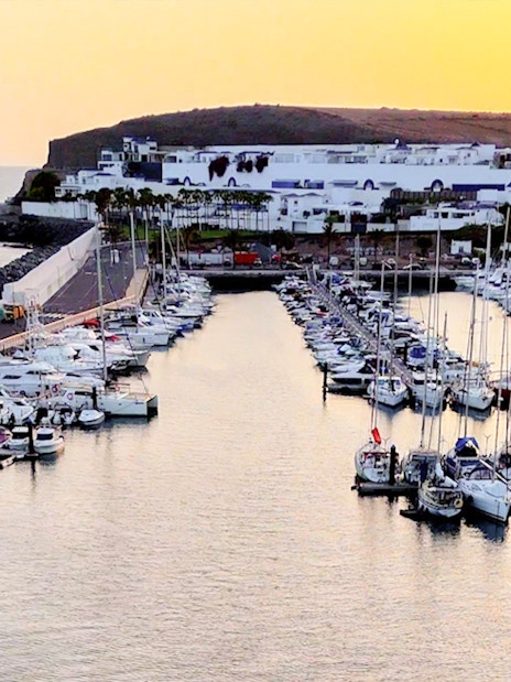 Marina with yachts at sunset during Private Dolphin & Whale Watching Cruise, Gran Canaria.