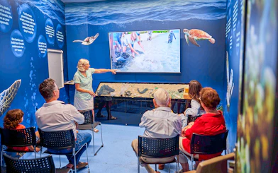 Visitors attending a presentation at Cairns Aquarium Turtle Hospital.