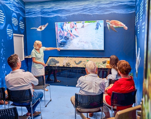 Group of people learning about turtles in Cairns Aquarium