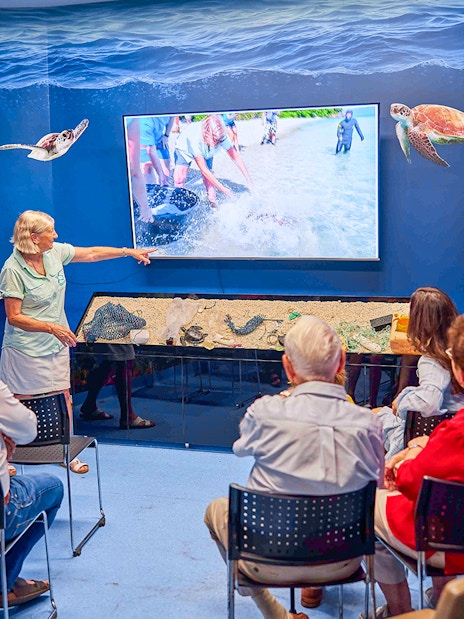 Visitors attending a presentation at Cairns Aquarium Turtle Hospital.