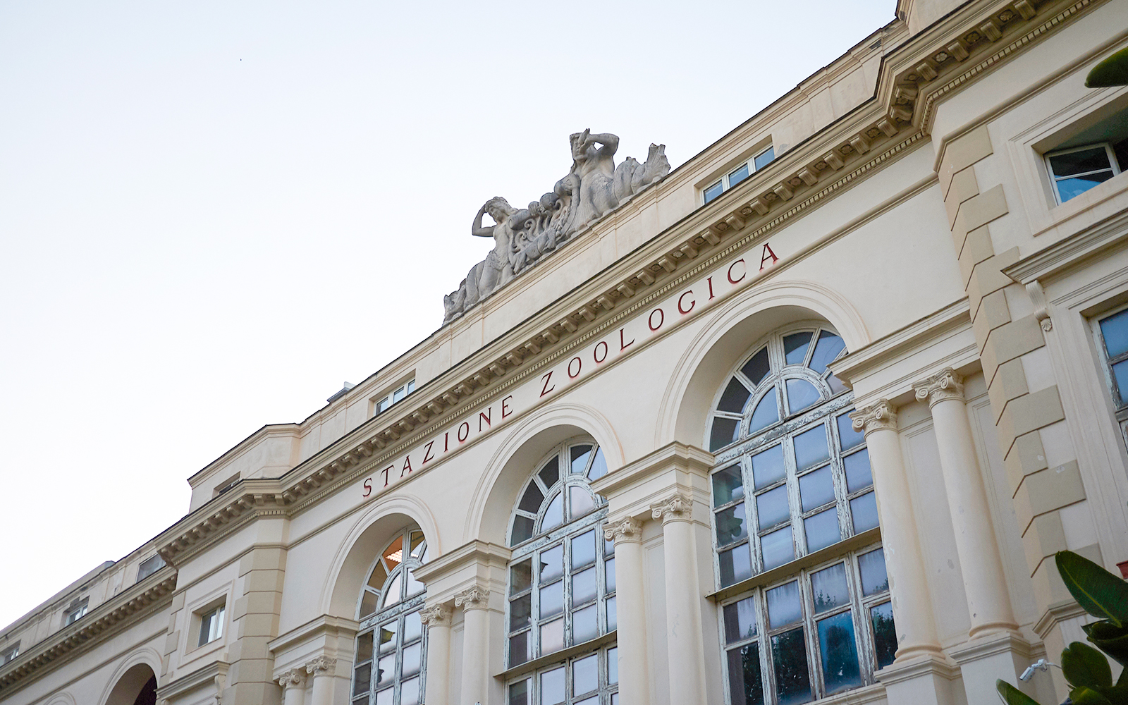 Anton Dohrn Akvarium