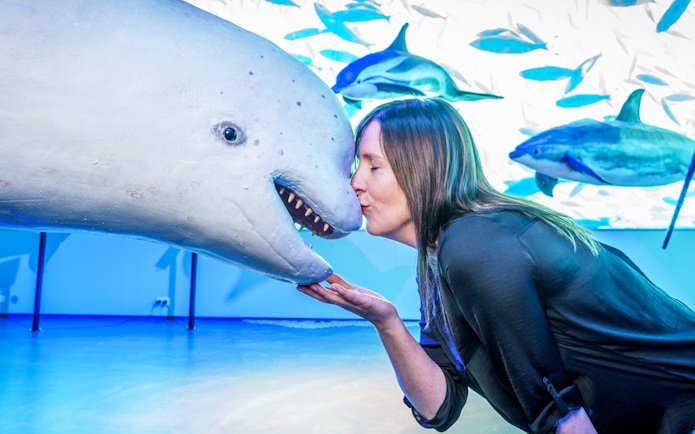 Visitor interacting with a whale exhibit at Whales of Iceland Museum.