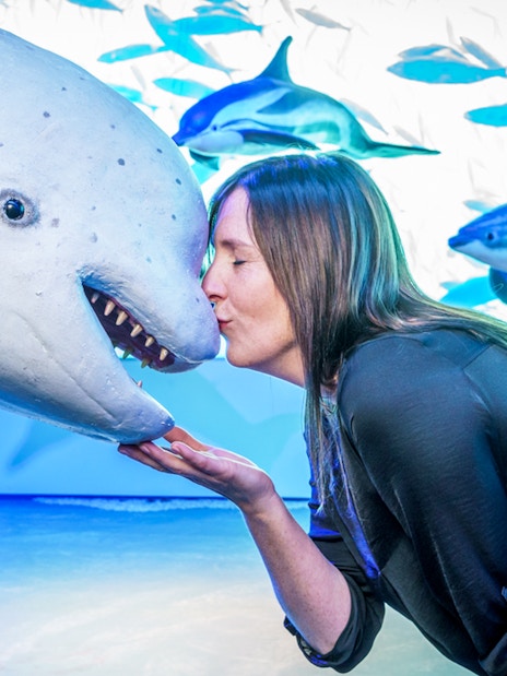 Visitor interacting with a whale exhibit at Whales of Iceland Museum.