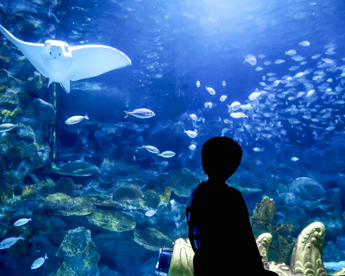 Istanbul Aquarium Skip-the-Line Tickets with Round-Trip Shuttle from Taksim
