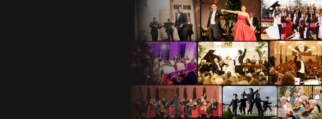 Vienna concert