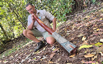 Tour delle cascate delle Atherton Tablelands con partenza da Cairns