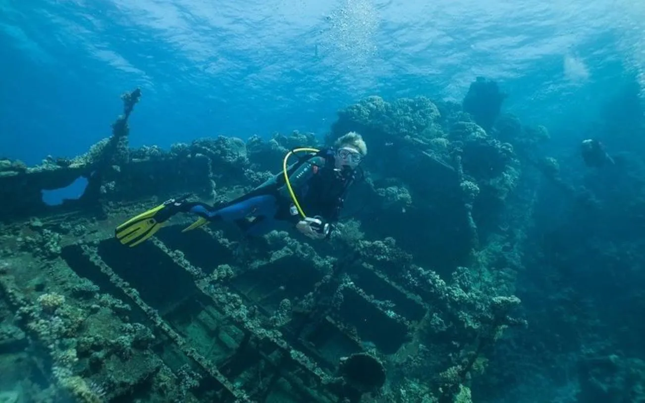 Scuba Diving Day Trip with Two Guided Dives and Lunch in Sharm El Sheikh Image 10