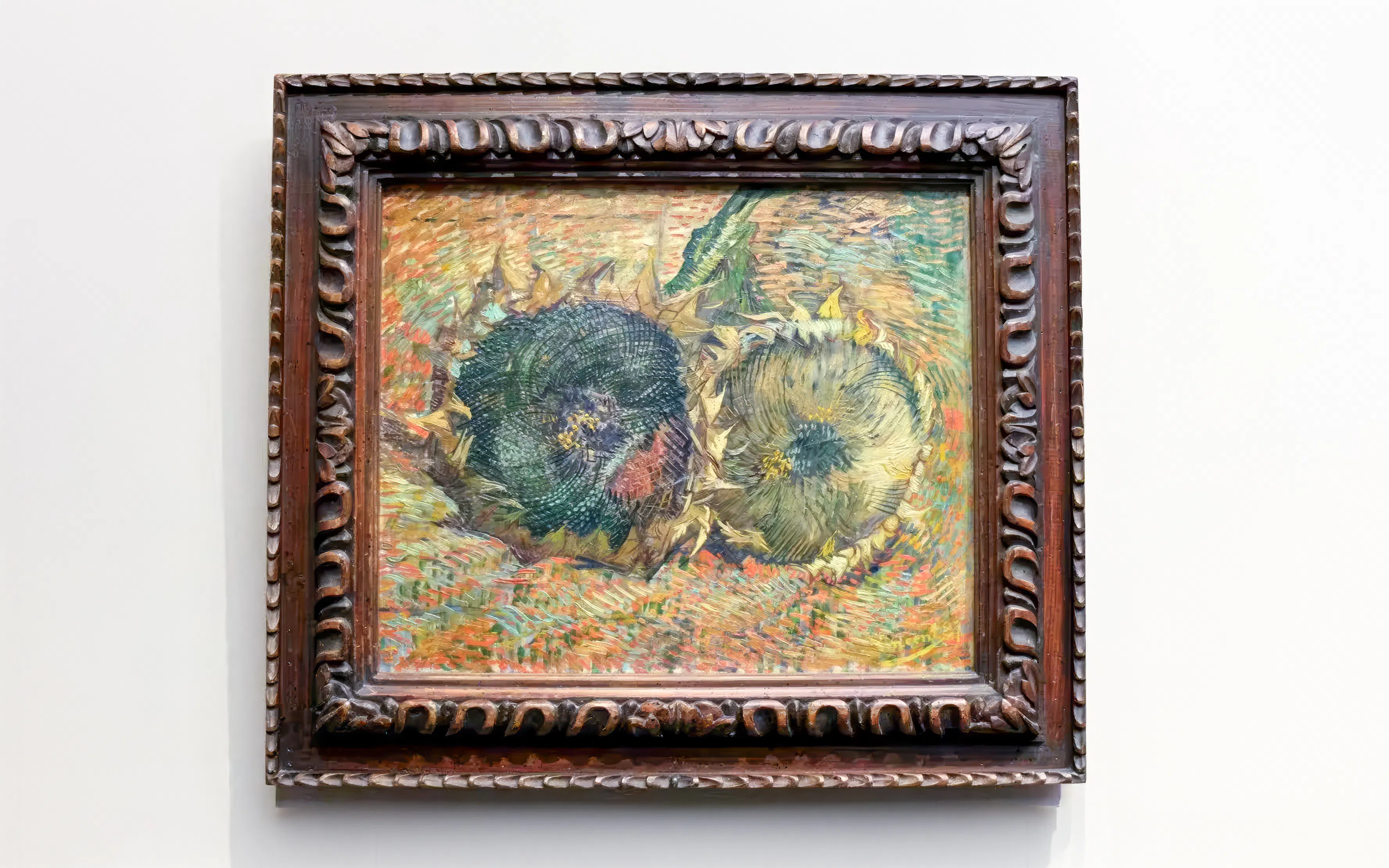 Two Cut Sunflowers painting by Vincent van Gogh, 1887, at Hamburger Kunsthalle Museum.