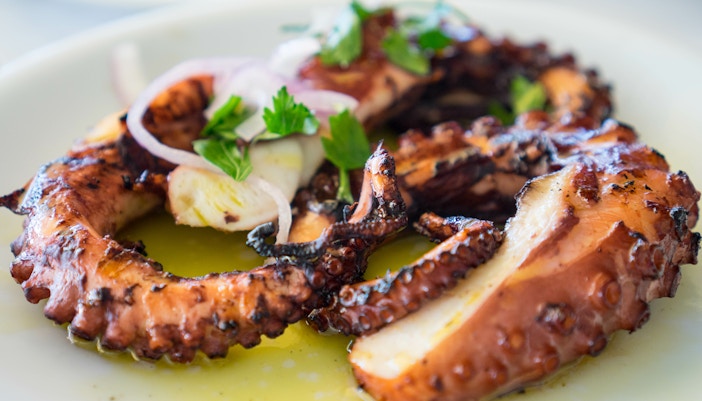 Grilled octopus garnished with herbs and onions on a white plate.