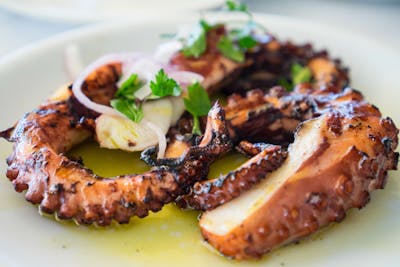 Grilled Octopus