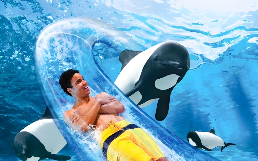 Man enjoying water slide with dolphins at Aquatica Orlando.