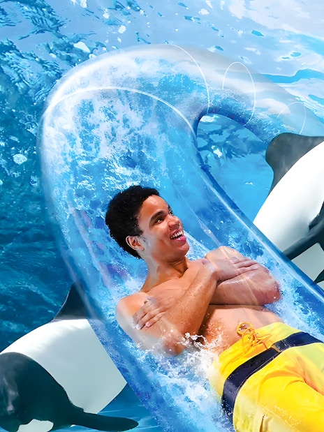 Man enjoying water slide with dolphins at Aquatica Orlando.