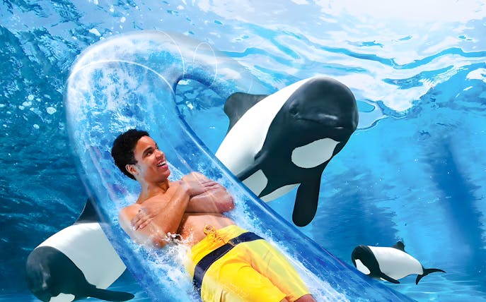 Man enjoying water slide with dolphins at Aquatica Orlando.