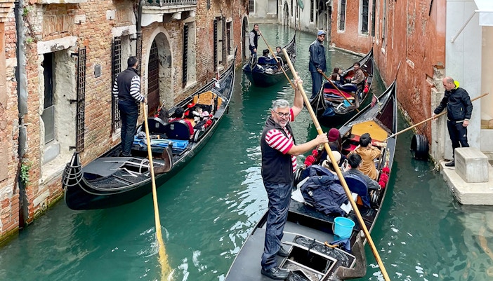 Opt or a shared ride