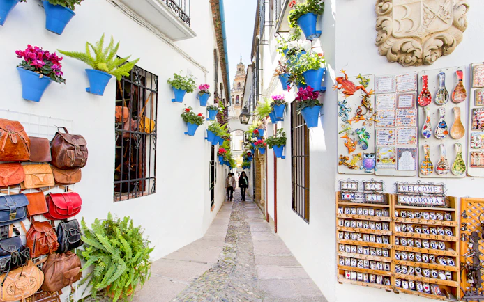 Narrow street in Cordoba's Jewish Quarter with colorful flower pots and local crafts.