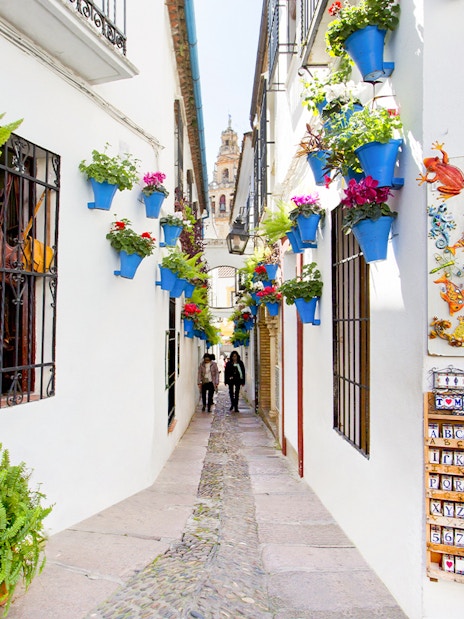 Narrow street in Cordoba's Jewish Quarter with colorful flower pots and local crafts.