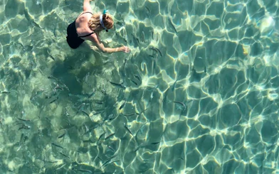Person snorkeling among fish in clear water during Gold Coast kayaking tour.