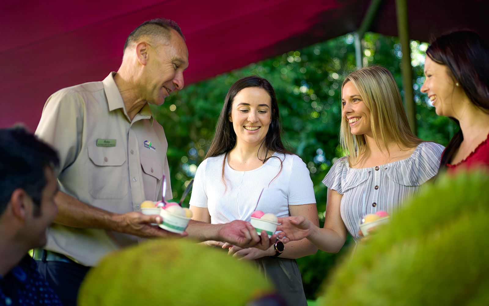 Daintree National Park